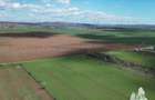 Vanzare Teren intravilan 24611 mp, Ideal retail, logistica, birouri - 7