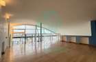 Penthouse Unic cu Terase de 100 mp - 9