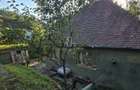 Casa de vanzare, zona centrala, Sighisoara, Mures - 3