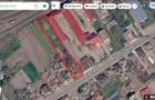 Casă de vânzare cu teren generos în Valea lui Mihai - 10