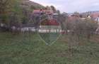 Teren intravilan 3500mp | Cotofenesti, Prahova - 6