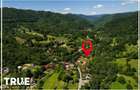 Casă de vacanță premium • 170 m² • Teren 2.500 m² • Bistra Mureșului - 4