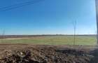 Teren de Vanzare in Balotesti-Moara Vlasiei - 3