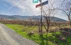 Casuță cu priveliște panoramică spre Cetatea Șiria - 29