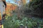 Casă Gruia | teren 380 mp | 2 fronturi | OPORTUNITATE - 3