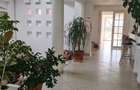 Casa individuala, 325 mp, teren 6475 mp, Vetis, Satu Mare! - 11