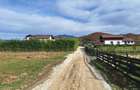 Teren 1000mp cu PUZ in Rasnov, Glajerie - 11