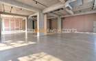 Spațiu comercial premium de inchiriat parter –370 mp utili | Herăstrău - 4