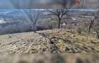 Teren de exceptie 3,1 ha intravilan | Panorama, utilitati, acces dublu | Sard - 6