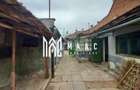 Casa 3 Camere | 100MPU | Teren 413MP | Terezian - 15
