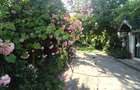Jilava-Tineretului-Casa solida-1000mp Teren-260mp -159.900 EUR - 13