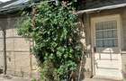 Casa de vanzare cu curte si gradina. Str. Transilvaniei ,nr.269 b ,oras Buzau - 2