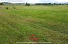 Teren intravilan in Campina 1527 mp --43.000e - 3