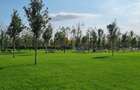 Apartament decomandat 2 camere, Bd. Metalurgiei, Parc Tudor Arghezi - 23