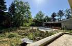 Vila cu 13 camere *4000mp teren* / Piscina / Snagov - 21