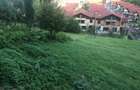 Teren pentru dezvoltatori, 2900mp Noua-Darste - 3