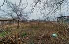 Teren 1.216 mp intravilan cu casă veche 58 mp - Vladimirescu - 3