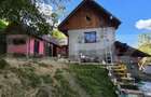 Casa 3 camere, 55 mp, teren 23.000 mp, zona pitoreasca-Poiana Marului - 5
