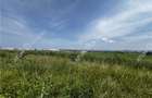 Teren intravilan de 6000 mp zona Industriala de Vest din Sibiu - 3