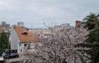 Timpuri Noi metrou, Splaiul Unirii , Vila P+2+M, NEMOBILATA, pretabila BIROURI - 1