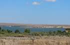 Teren Extravilan 10000 Mp Sibioara Constanta - 12