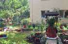 Inchiriere 2 camere Manastur, finisat modern, etaj intermediar - 15