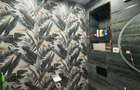 Apartament 2 camere / Echo Tineretului / TVA inclus! - 9