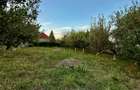 O casă cu suflet, pe un teren cât o poveste întreagă-Deva, zona Vulcan - 19