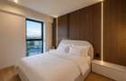 Apartament 4 camere lux Herastrau - 4