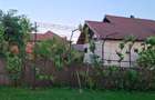 Casă P+E cu teren 1.997 mp, livadă și vie – Coșești, Argeș | 175.000 € - 5