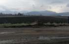 Teren intravilan, zona industriala, Brasov - Stupini. - 4
