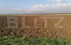 Teren intravilan 4500 mp zona Oarda cu iesire la DN1 - 2