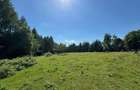 Teren intravilan 5.755 mp | Zona Muzeul Satului Maramureșean, Sighetu Marmației - 1