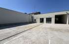Spatiu Comercial |  Brancoveanu - 11