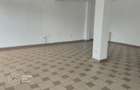 Spatiu comercial 120 mp cu vitrina stradala, pe Str. Dr. Ioan Ratiu - 4