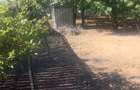 Casă cu grădină în Giubega, Județul Dolj - 3