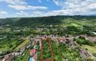 Teren cu potential exceptional de dezvoltare–6.661 mp-Str. Grigore Alexandrescu! - 9