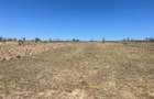 RECO Teren extravilan Holod 27400 mp - 4