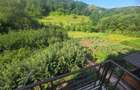 Casa in Luncani cu teren 5500 mp