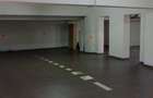 REA1021420 Apartament spatios langa Parcul Herastrau - 11