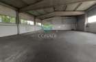 Zona DNCB Clinceni De inchiriat Hala C1 - 3