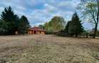 Vilă 380 mp cu deschidere la Lacul Snagov | 4.700 mp teren | Piscină - 7