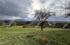 Teren intravilan de 600 mp in localitatea Mohu din Sibiu - 6