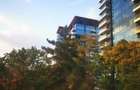 Apartament 2 Camere | Floreasca | Pet Friendly | - 6