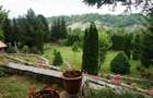 Campina Valea Doftanei Sotrile Paltinu - 5