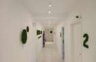Proprietar vand doua vile in zona Calea Plevnei - 2