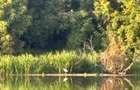 Vila Exclusivista vedere  Lac   P+1  Peninsula Toboc București Finisaje Premium