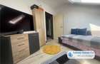 Proprietate cu crama, Ultracentral, casa de vanzare, Oradea, Bihor - 8