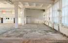 Vanzare sau inchiriere Cladire cadre beton  743 mp Movila Miresii teren 7354 mp - 5
