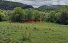 TEREN INTRAVILAN DE VÂNZARE - 4
